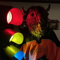bull riding samples fin