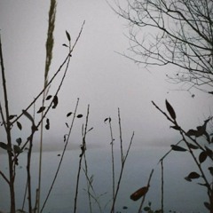 🌿ßΘɴĢ ȻΘɴτરΘι🌿