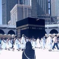 ماهر زين
