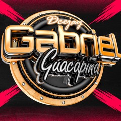 Gabriel Guacapiña Dj