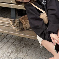 イザナミ
