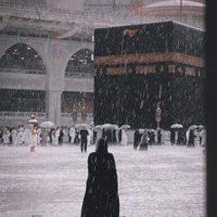 Doaa Nady