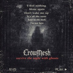 CROWMESH