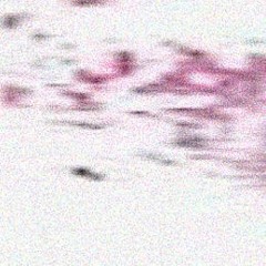 Pork_Rope_AMSR