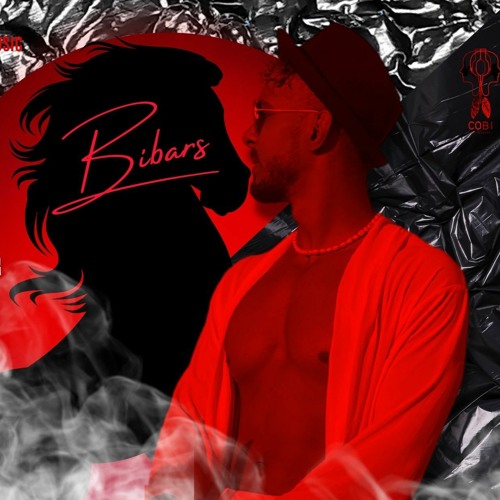 M.BIBARS’s avatar