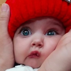 hamid