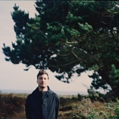 The Ekpyrotic Scenario (Modgeist)