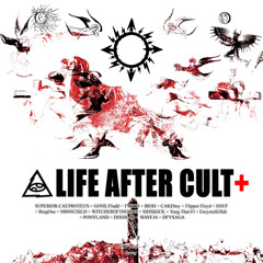 LIFE AFTER CULT