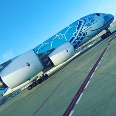 つっちー/tsucchi