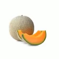cantaloupe