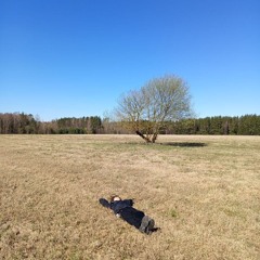 restnpiece