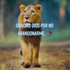 Norma Noemi Ruiz