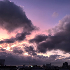 김신하