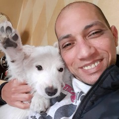 Alaa Mohmed