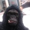 Monkey Man