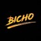 Dj Bicho