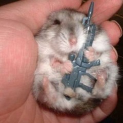 squirreasel