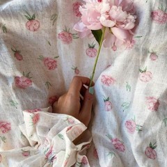 Habiba Hamdy