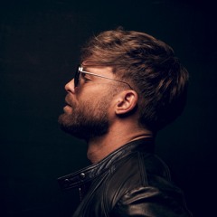 Green Velvet - Flash (RØBIN Unofficial Rework) FREE DL