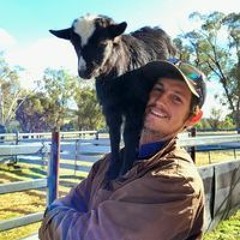 Pieter van Jaarsveld