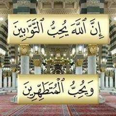 ناصر عبد الفتاح