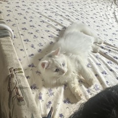 Nguyễn Lương Khánh Linh