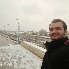 Mojtaba