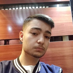 Sina khatibi