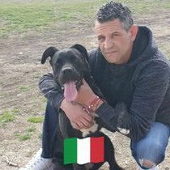 Velinov Ivanov Cveto