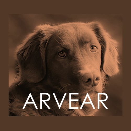 ARVEAR’s avatar