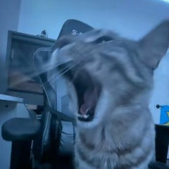 naoeomarfiiii