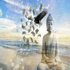 illegalinsectimporter