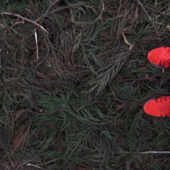 n.