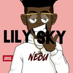 Lily sky