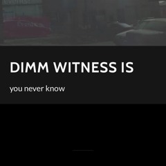 dimm witness