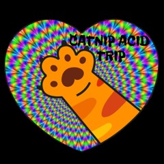 CATNIP ACID TRIP