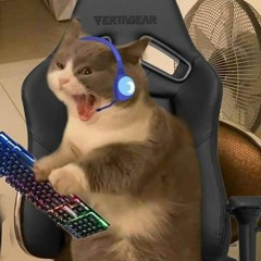 MG V O Y D Z Z Y