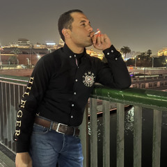 Mohamed metwalli ali