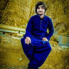 Shereen Agha