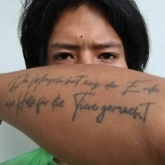 Fabricio Silva Vargas Machuca