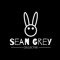 Sean Grey Collective