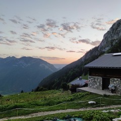 Stéphane Guiguitant