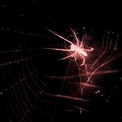 deathdotcom