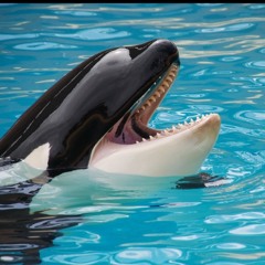 $$$$$$$$$$$$$ $$ $$$ $$$$$ 2