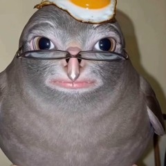 simon