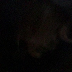 last febuary when u left