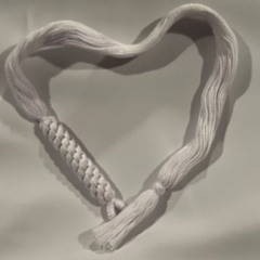 المــايدي✔️