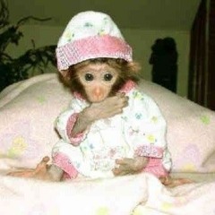 Elisa is a monke
