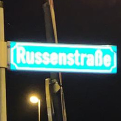 leonissel