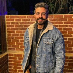 Seif N. Elzeniny
